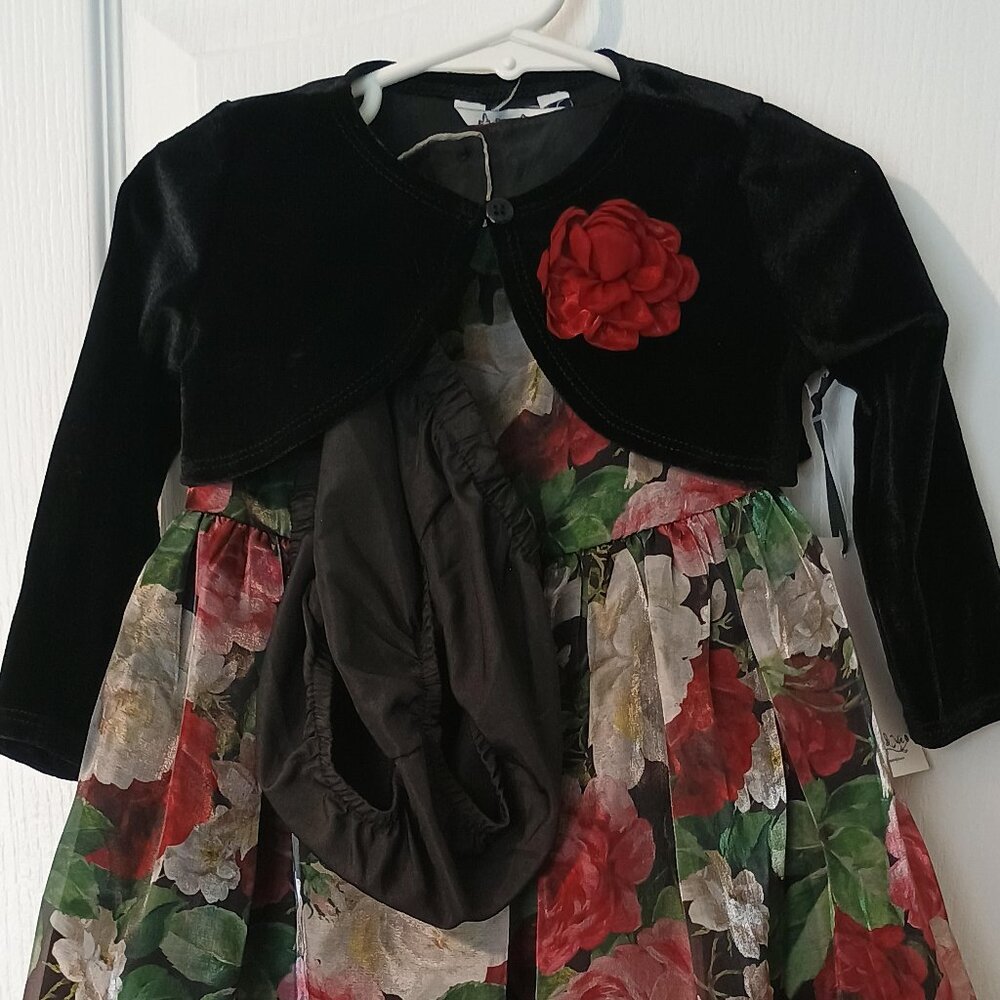 Pippa & Julie/3pc Dress Outfit/Girls/18M/Floral/Velvet Jacket Set